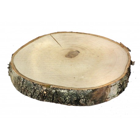 WOODEN SLICE 25-30CM THICKNESS 4CM