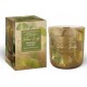 SWIECA SZKLO 150G GOLDEN GINKO