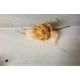 ARTIFICIAL FLOWERS 6PCS